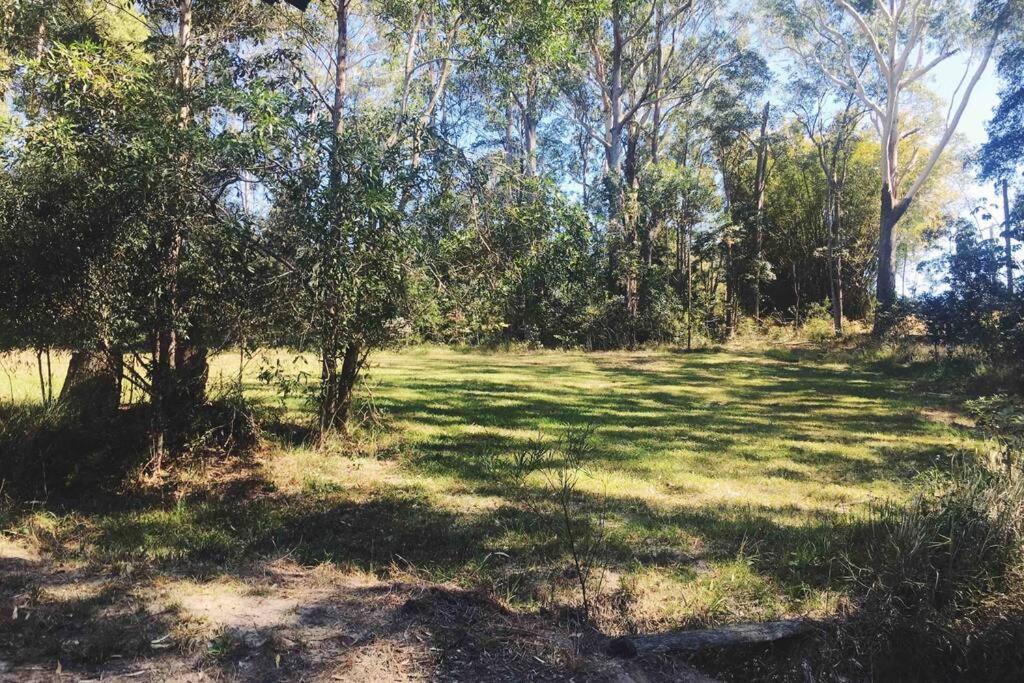 Palmwoods Cabin Country Retreat Paskins Farm מראה חיצוני תמונה